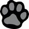 Paddy Paw Media Web design
